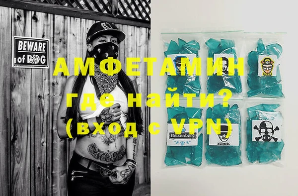 шишки Ельня